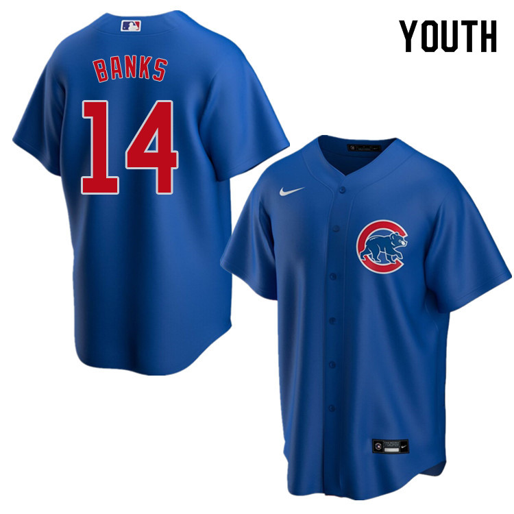 Nike Youth #14 Ernie Banks Chicago Cubs Baseball Jerseys Sale-Blue